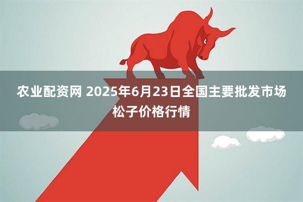 农业配资网 2025年6月23日全国主要批发市场松子价格行情